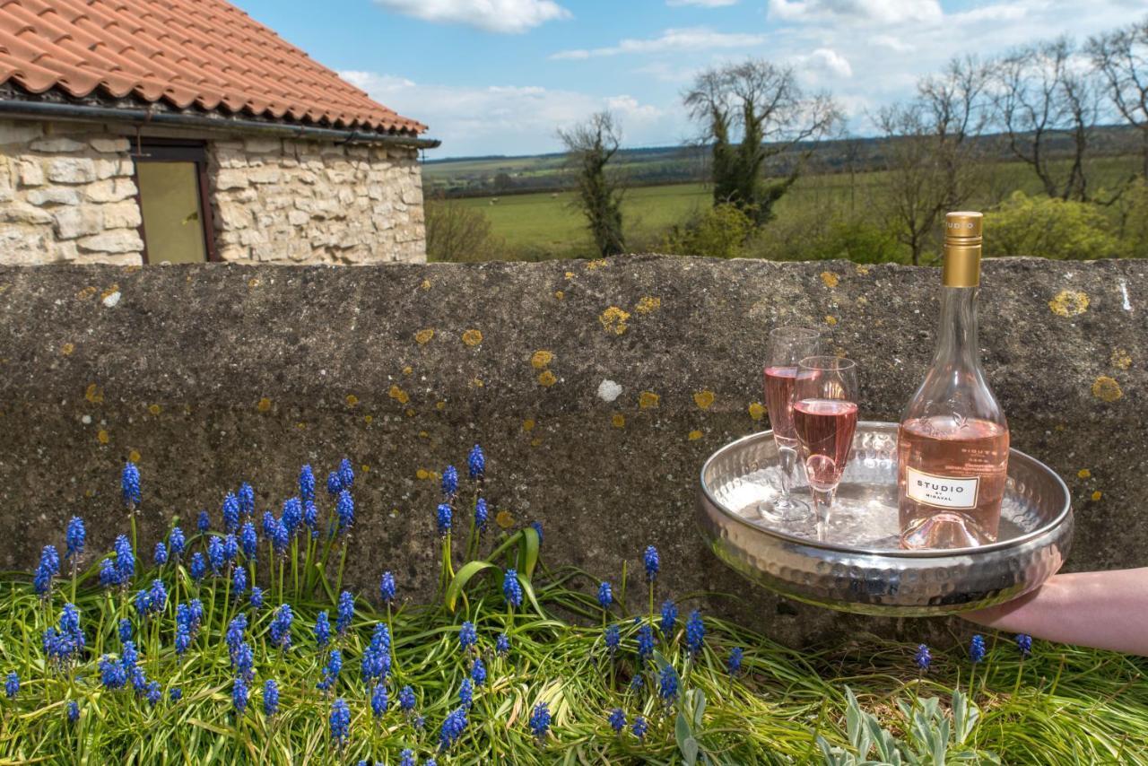 Valley View Farm Holiday Cottages Хелмсли Екстериор снимка