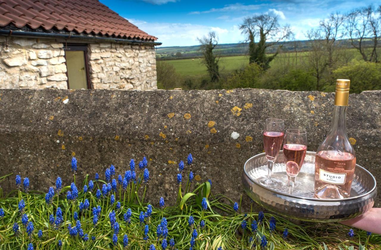 Valley View Farm Holiday Cottages Хелмсли Екстериор снимка