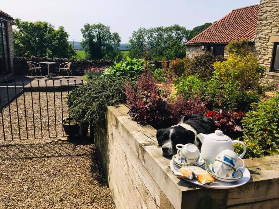 Valley View Farm Holiday Cottages Хелмсли Екстериор снимка